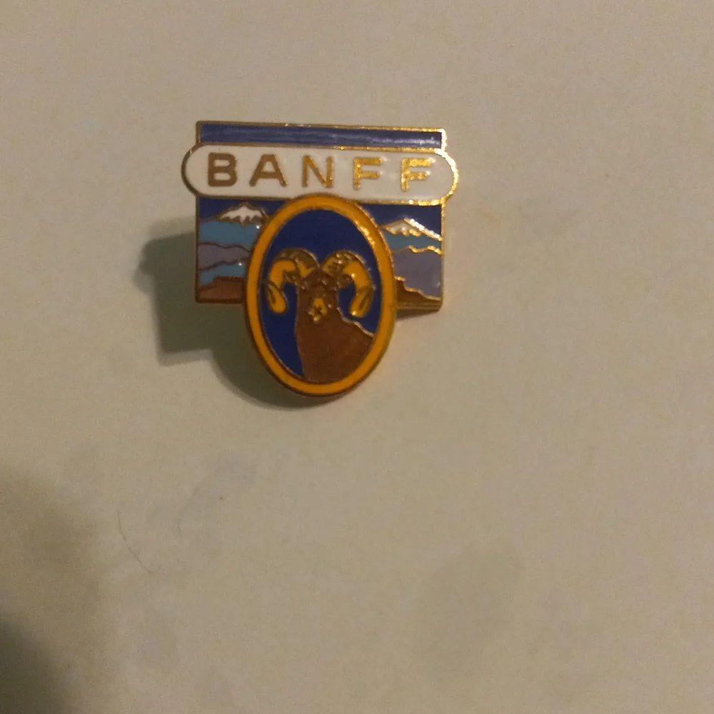 Pin - Picture 1 of 3